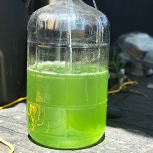 Meet your Posher, Peter